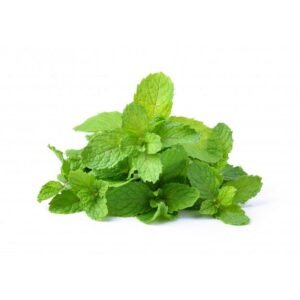 Hortelã Orgânica